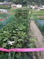 モリゲン フェローシップ レグ(MORIGEN fellowship REGU) 趣味は野菜作りです!