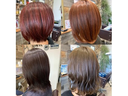 キリグ(KILIG)の写真