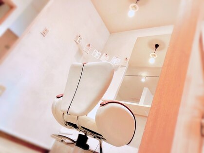 カット オブ ワイズ(wise)の写真