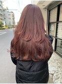 イルミナ コーラルピンク レイヤー