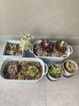グレープ(GRAPE)&nbsp;可愛がってます♪[入谷/上野/浅草/鶯谷]