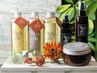 【極上の美髪ケア】頭皮と髪にご褒美☆極上spa&トリートメント￥8800