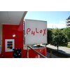 フロックス(phlox)のお店ロゴ