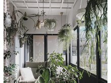 トゥリル(trueal)の雰囲気（【待合い】店内は沢山の植物に囲まれております。）