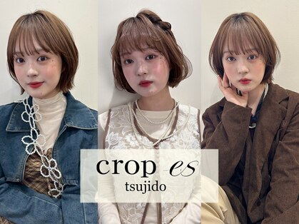 クロップ エス 湘南辻堂(crop es)の写真