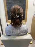 パーティセット