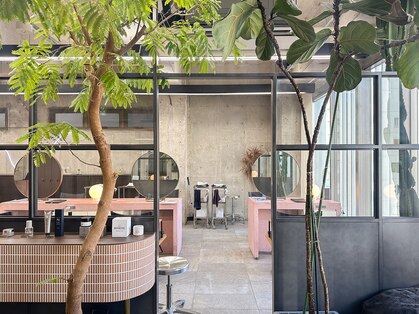 ユニオンリット(Union lit)の写真