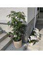 オアシス(oasis)&nbsp;天気の良い日はお店の植物たちを外に出して日光浴します♪
