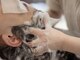 ヘアメイク シンズ レインボー(Hair Make SHIN'S RAINBOW)の写真/【Eral認定のキュアリスト在籍】頭皮と髪のダブルケア◆日頃落としきれない汚れをしっかり落としてくれる◎