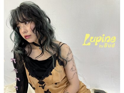 ルピネバイバド(Lupine by bud)の写真
