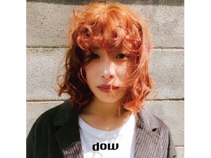 ブルーバイダウ(blue by dow)の写真