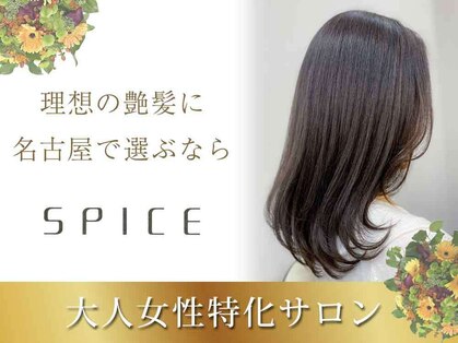 スパイス(SPICE)の写真