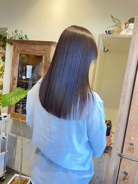 ディル(Dille) オリーブブラウン