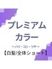 【白髪/全体ショート】ハリ・コシ・ツヤコース(プレミアムカラー)