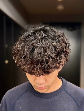 アクロ 本店(ACRO) プードルパーマ/ツイストスパイラルパーマ/スパイラルパーマ