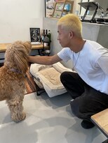 モーテル(MOTEL)&nbsp;金髪ボウズ