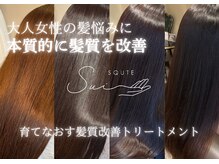 スクテ スイ(SQUTE Sui)の雰囲気（<7stepトリートメント> 1.頭皮を健康にする、2.髪に栄養を与える）