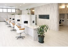 RAG【ラグ】【3月上旬NEW OPEN(予定)】の雰囲気(全席半個室)