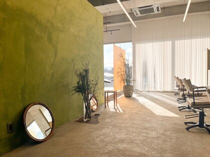 ペト(peto)の写真