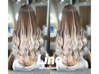 リノ(Lino)の写真