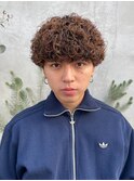 刈り上げツーブロックマッシュプードルパーマスパイラルパーマ