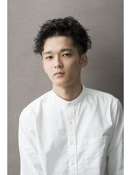 ルートヴィッヒ(Ludwig) 2ブロックカール