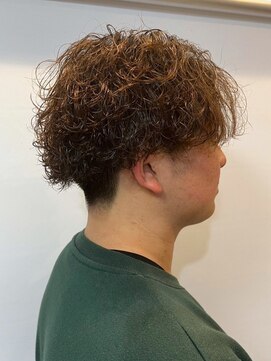 ソレイユ バイ アルフレッド(SOLEIL by alfRed) 《メンズパーマ》プードルパーマ　ツーブロック 王道マッシュ！