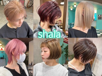 シャラ(Shala)の写真