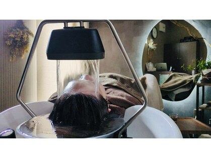 ムクドット(muku.)の写真