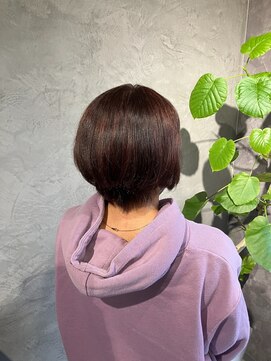 プレジール(plaisir) 赤ハイライト