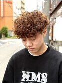 ブラウンプードル