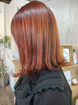 アクトゥス(AEQUITAS) ダブルカラー×コーラルオレンジ