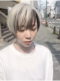 ホワイトアッシュ/ブロンド/シルバー/ハイトーン