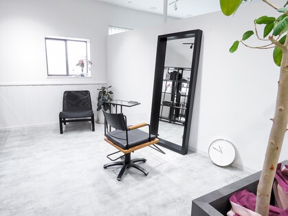 エル(AILE)の写真