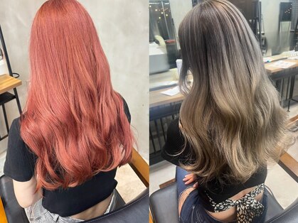 ザ ヘア ディードットログ(The hair D.Log)の写真