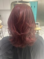 ゼスト ジグ(ZEST ZIGU)&nbsp;レッドカラーブリーチなしダブルカラー/anna