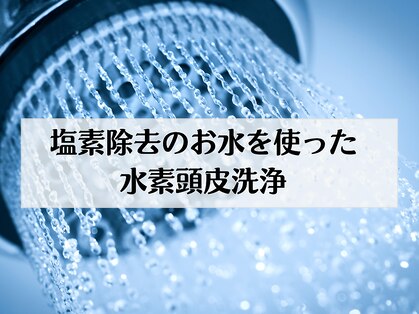 巡華の写真
