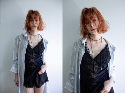 デイジー(Daisy)の写真