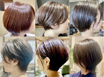 スガミ(sugami)の写真