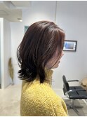 ミディアムレイヤー
