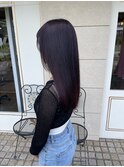 ピンクラベンダー