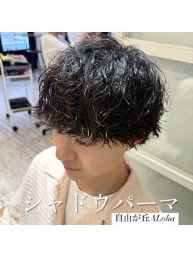 アロハ(ALoha) 《　メンズ　》シャドウパーマ