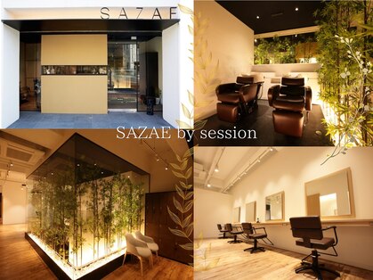 サザエ(SAZAE)の写真