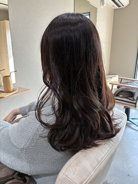 本と南風 guest design