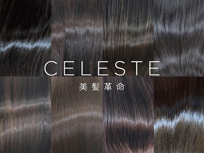 セレスト 横浜石川町店(CELESTE)