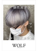 ウルフ(WOLF) 個性的カラー＿マッシュ＿シルバーアッシュ