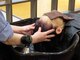 ブロンソン(bronson)の写真/“癒しの極上ヘッドスパ”をご提供！極上の癒しを求める方にオススメ♪頭皮から健康的な髪へ。