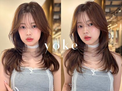 ヨーク(yoke)の写真