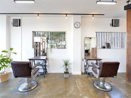 サニー(Sunny)の写真