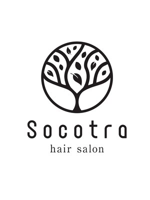 ソコトラ(Socotra)